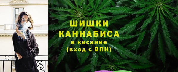 2c-b Козельск